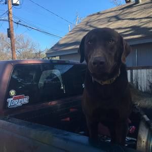 Meet your Posher, Ernesto